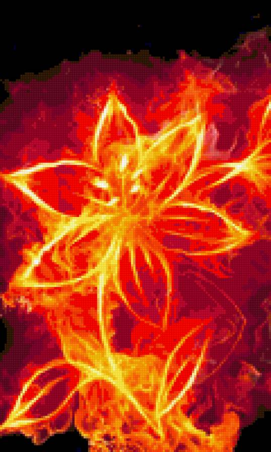 огненный цветок - предпросмотр