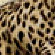 Предпросмотр схемы вышивки «дикие животные» (№374875)