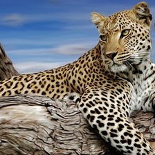 Схема вышивки «дикие животные»