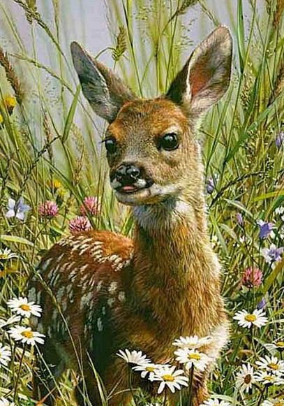 олененок - оригинал