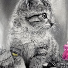 Схема вышивки «котенок»