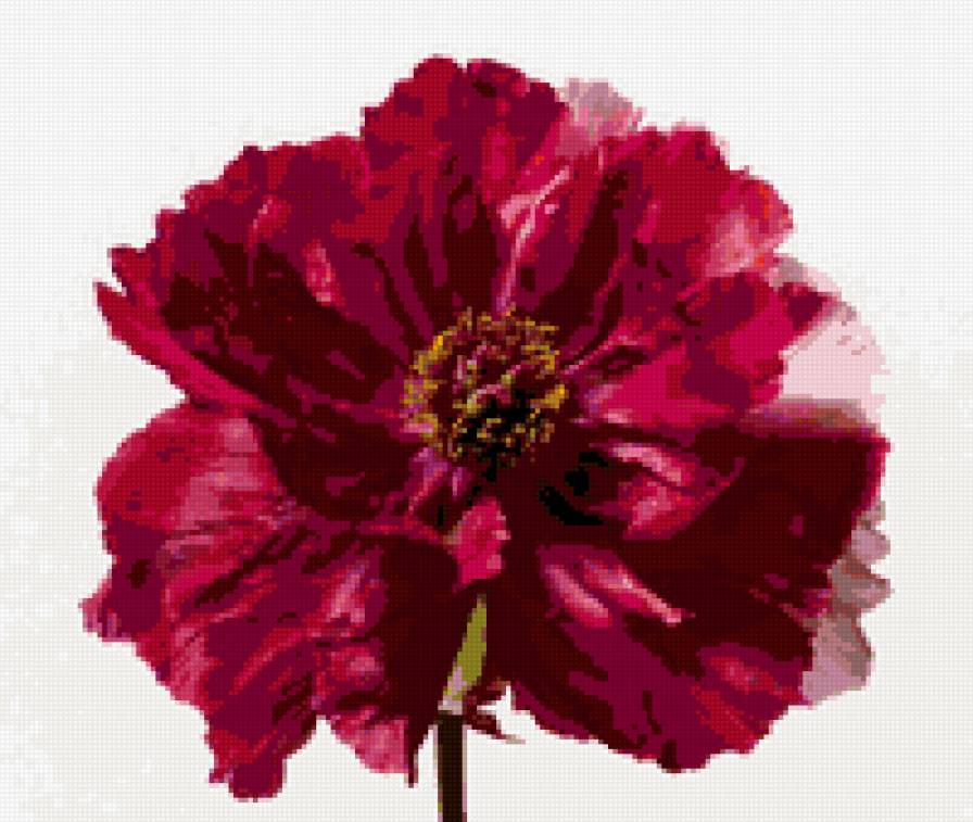 №374948 - предпросмотр