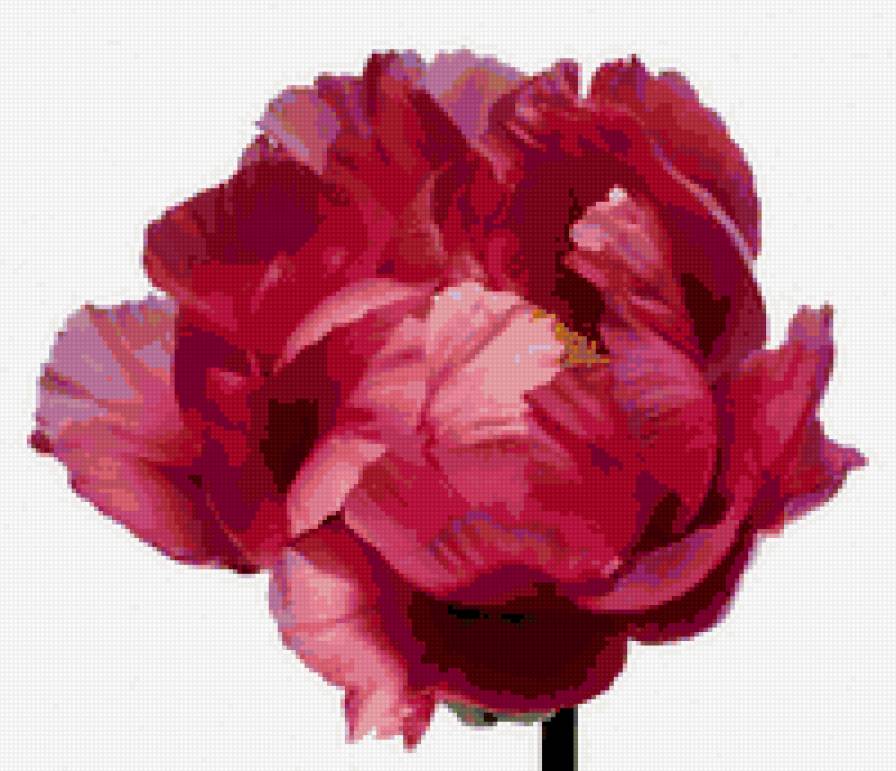 №374949 - предпросмотр