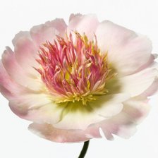 Схема вышивки «№374951»