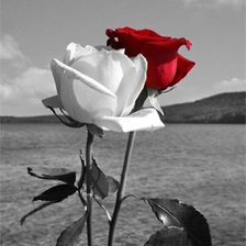 Схема вышивки «№375205»