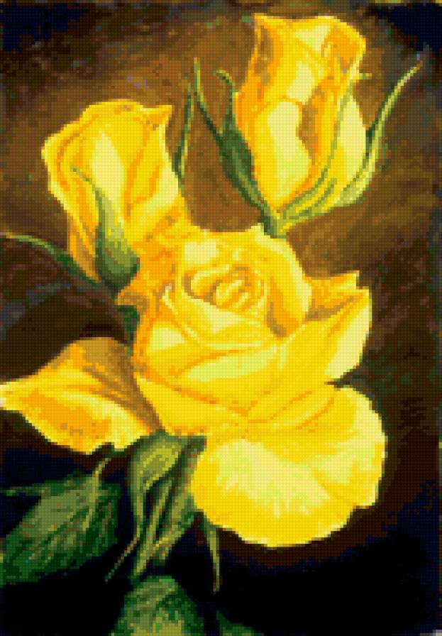 Желтые розы. - цветы, розы, роза - предпросмотр