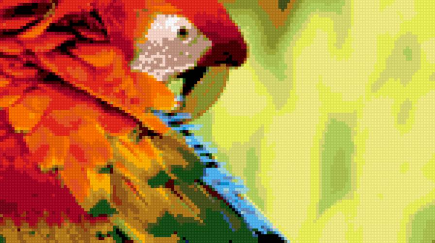 попугай 35 - предпросмотр