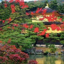 Схема вышивки «Японський сад»