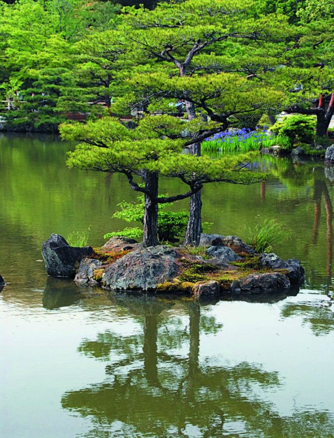 Японський сад - оригинал