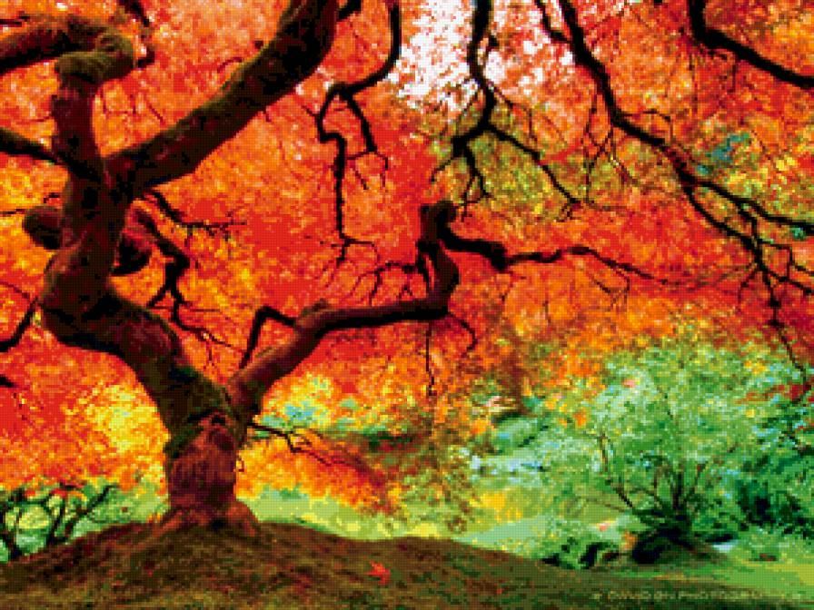 Японський сад - предпросмотр