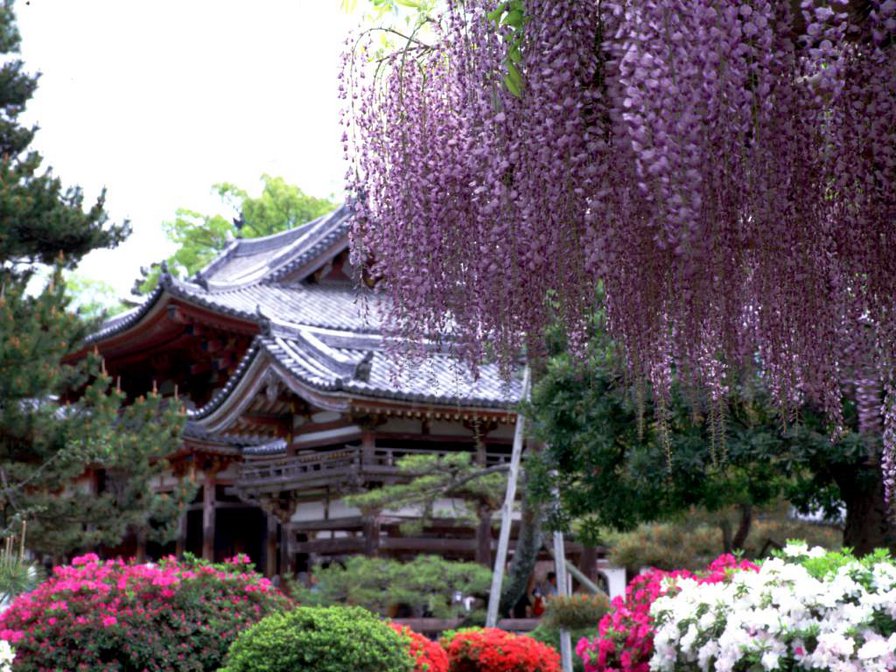 Японський сад - оригинал