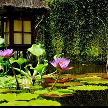 Схема вышивки «Лотос»