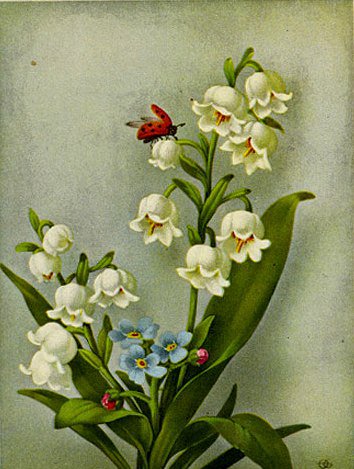 ландыши - оригинал