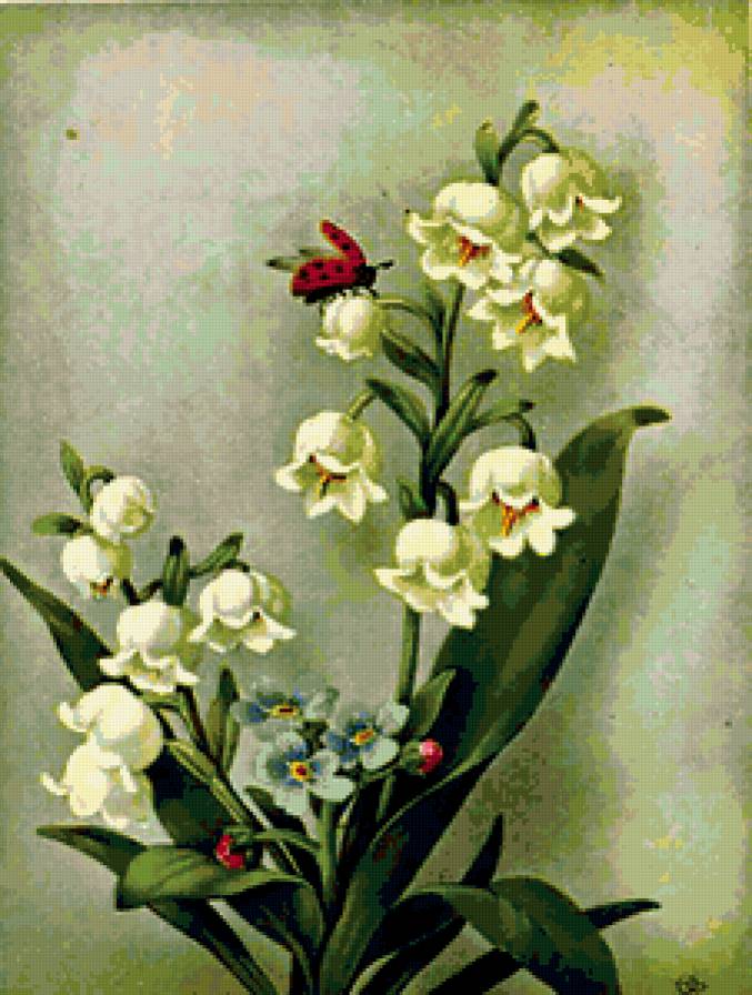 ландыши - предпросмотр