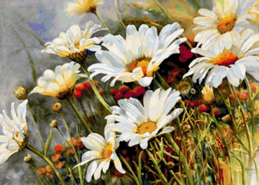 ромашки - цветы - предпросмотр