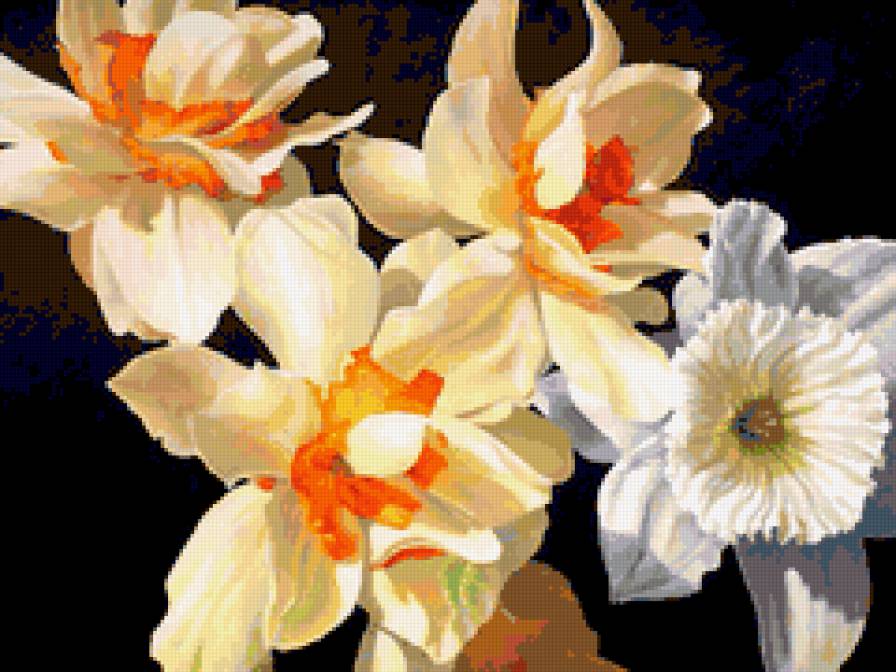 нарцис - цветы - предпросмотр