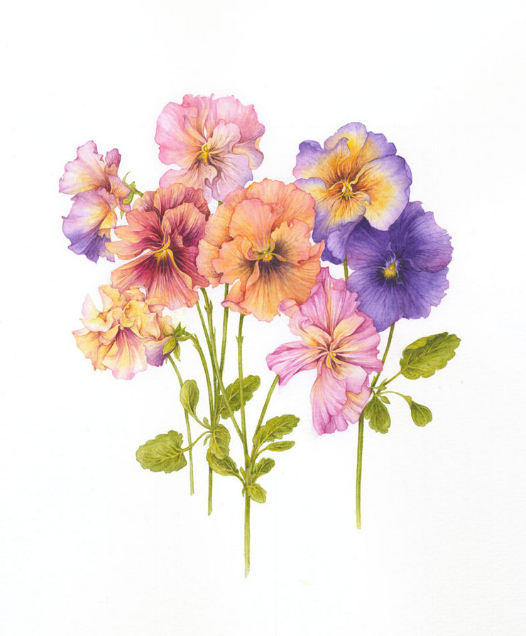 анютки - для подушки - оригинал