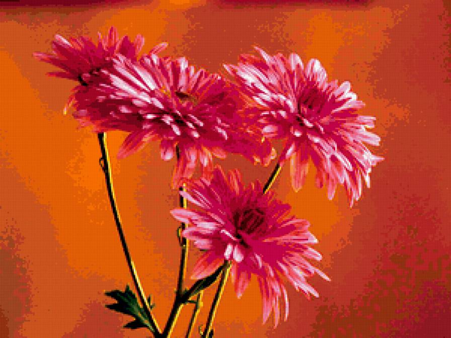 №375537 - цветы - предпросмотр