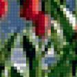 Предпросмотр схемы вышивки «тюльпаны из под снега» (№375539)