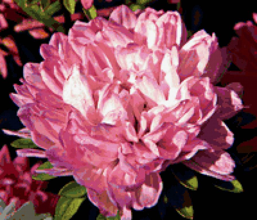 №375544 - цветы - предпросмотр