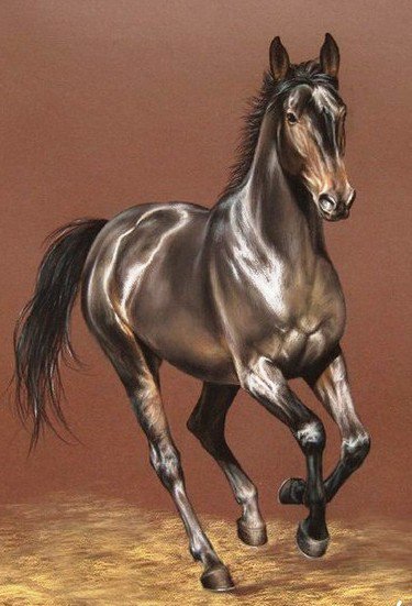 №375567 - оригинал