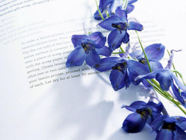 письмо - письмо, цветы, книга - оригинал