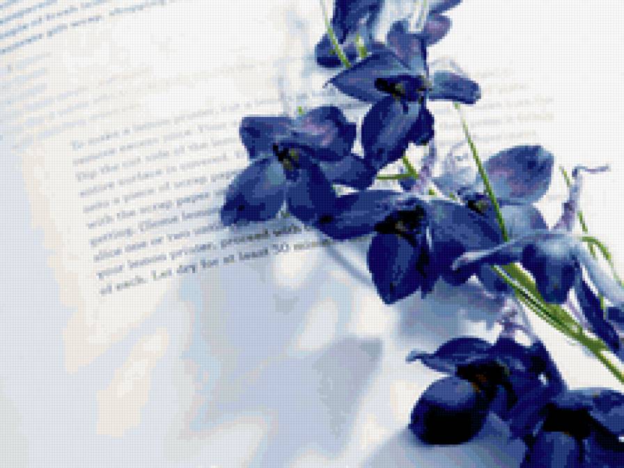 письмо - письмо, книга, цветы - предпросмотр