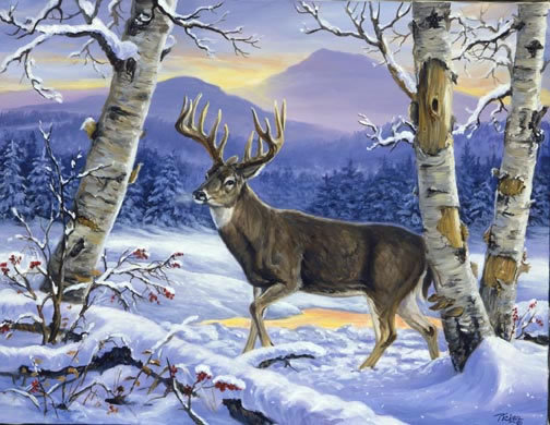 0107 - природа, картина, красота, зима, животные, лес, олень - оригинал