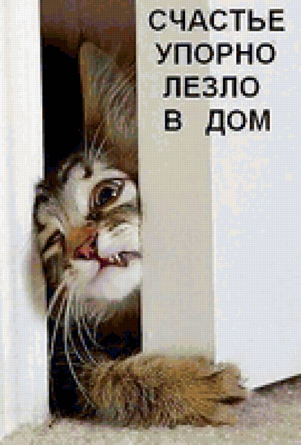 киса - кошка, животное - предпросмотр