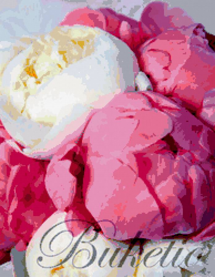 Свадебный букет 12 - букет, пионы, свадьба, цветы - предпросмотр