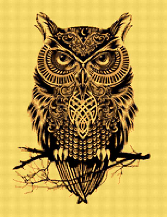 Сова - птица - предпросмотр