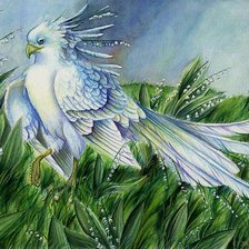 Схема вышивки «птица»