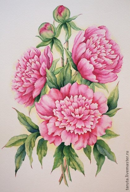 пионы - оригинал