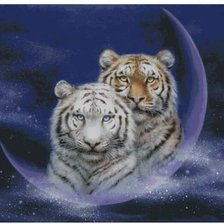 Схема вышивки «№376111»