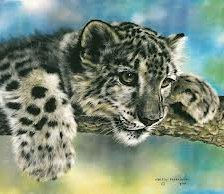 Схема вышивки «тигренок»