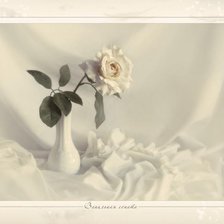 Схема вышивки «№376487»