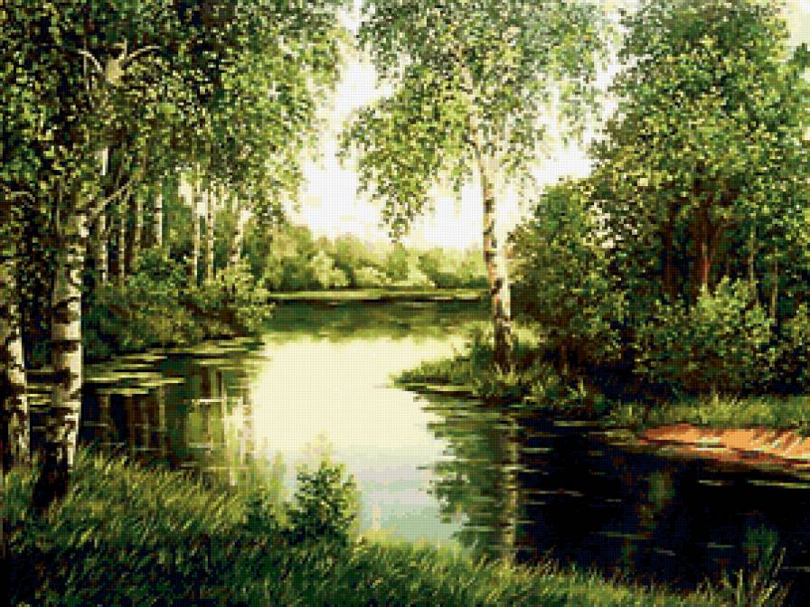 Лесная речка - пейзаж, речка, березы - предпросмотр