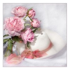 Схема вышивки «№376578»