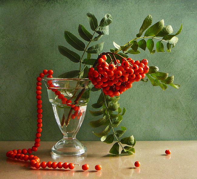 №376587 - оригинал