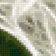 Предпросмотр схемы вышивки «колибри» (№376652)