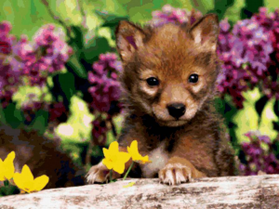 я здесь! - природа, животные - предпросмотр