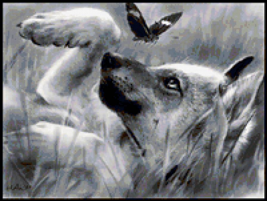 на лугу - собака, кутенок, щенок - предпросмотр