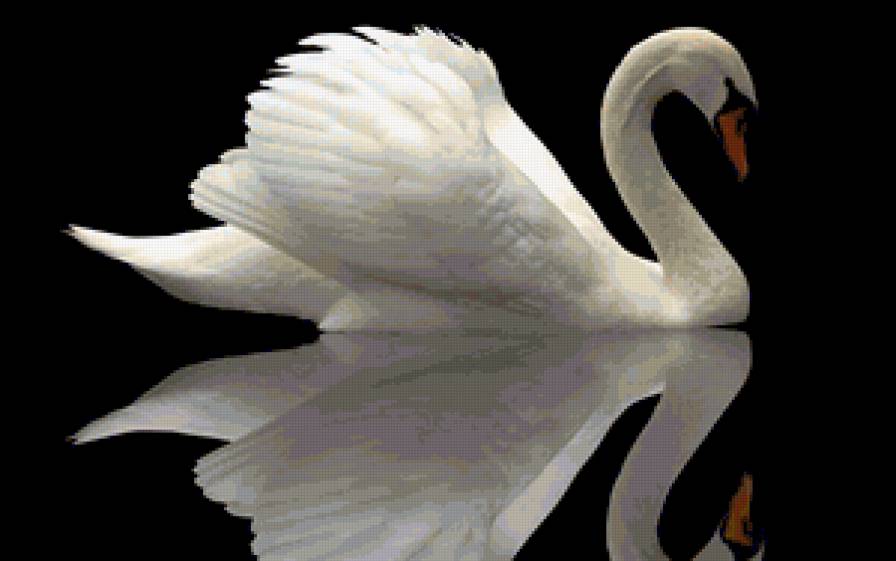 №376912 - предпросмотр