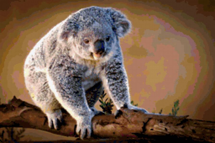 №376916 - предпросмотр