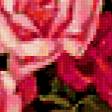 Предпросмотр схемы вышивки «розы» (№376995)