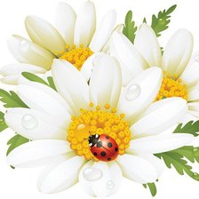 Схема вышивки «№377005»