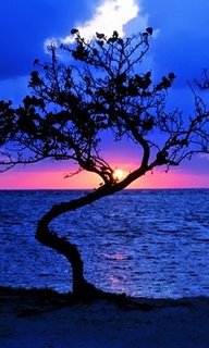 ночной пейзаж - картина - оригинал