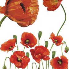 Схема вышивки «№377068»