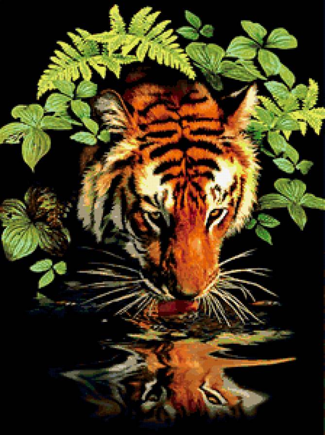 на водопое - тигр, природа, хищник - предпросмотр