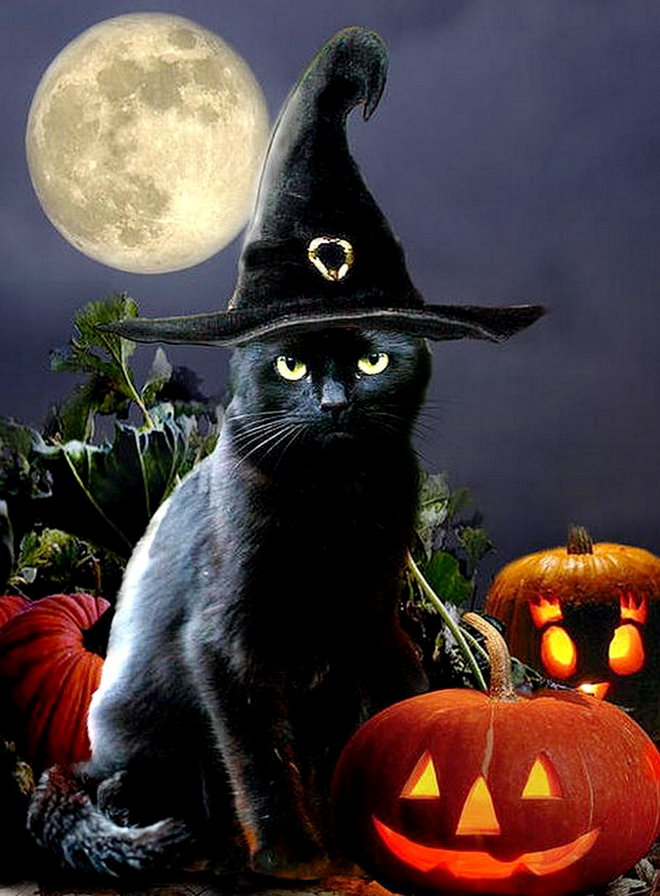 хеллоуин 2 - кот, праздник, тыква, луна, ночь - оригинал